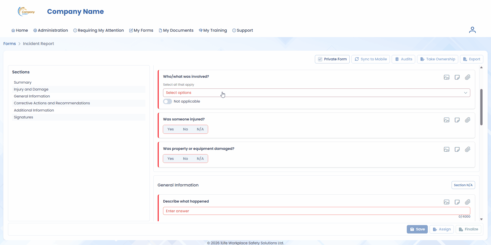Conditional Branching - Form Instance